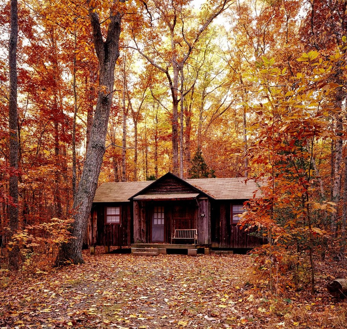 Cabins USA cabin special in Pigeon Forge